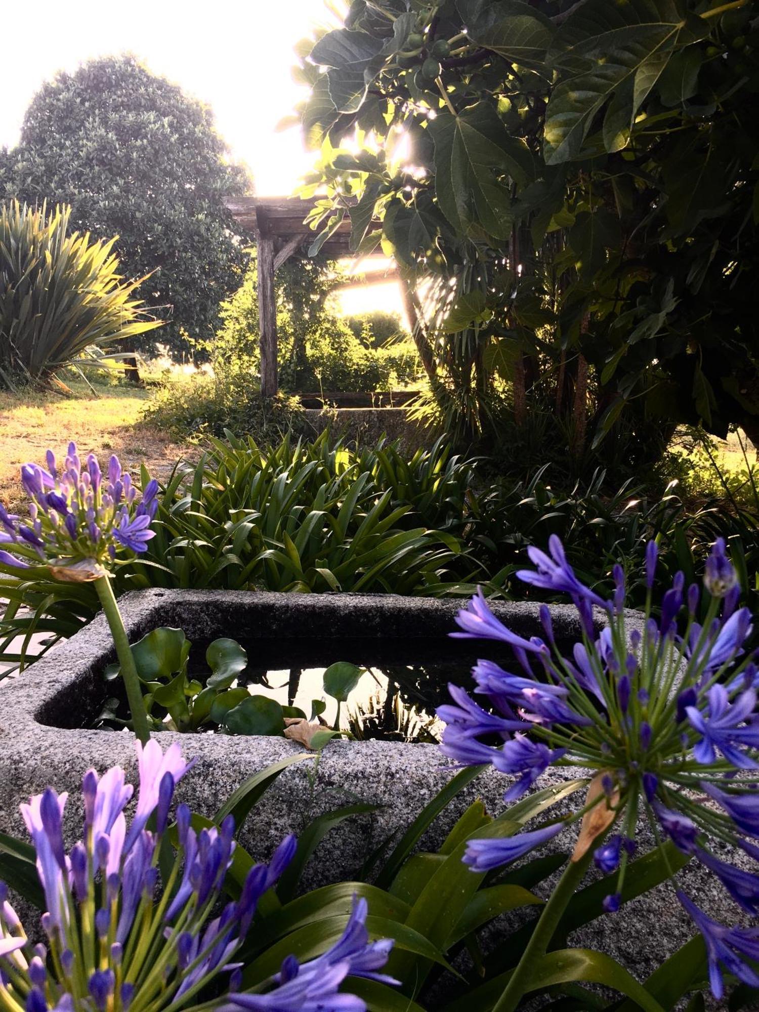 Отель Quinta De Mocamedes - Turismo De Habitacao Возела Экстерьер фото