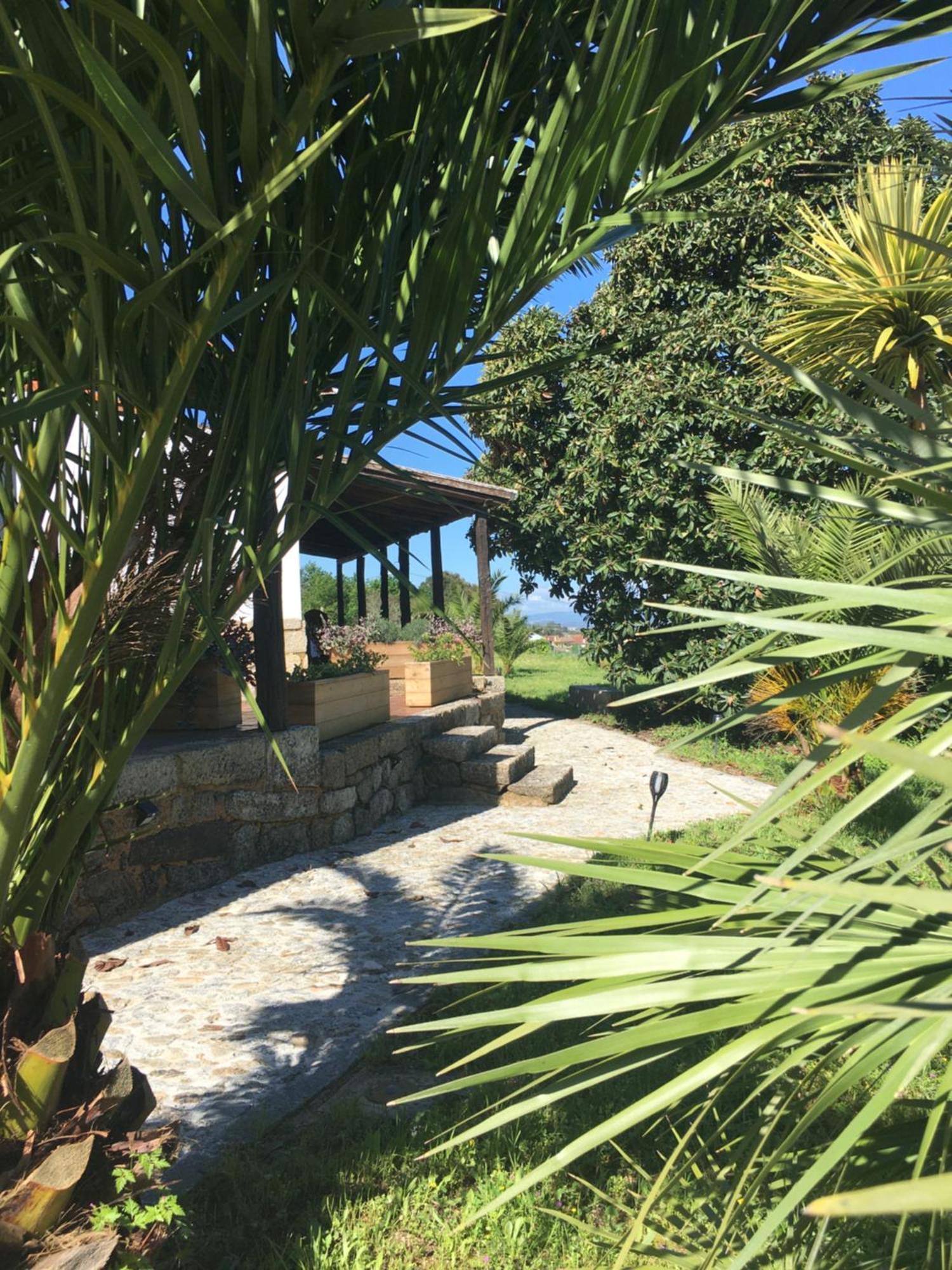 Отель Quinta De Mocamedes - Turismo De Habitacao Возела Экстерьер фото