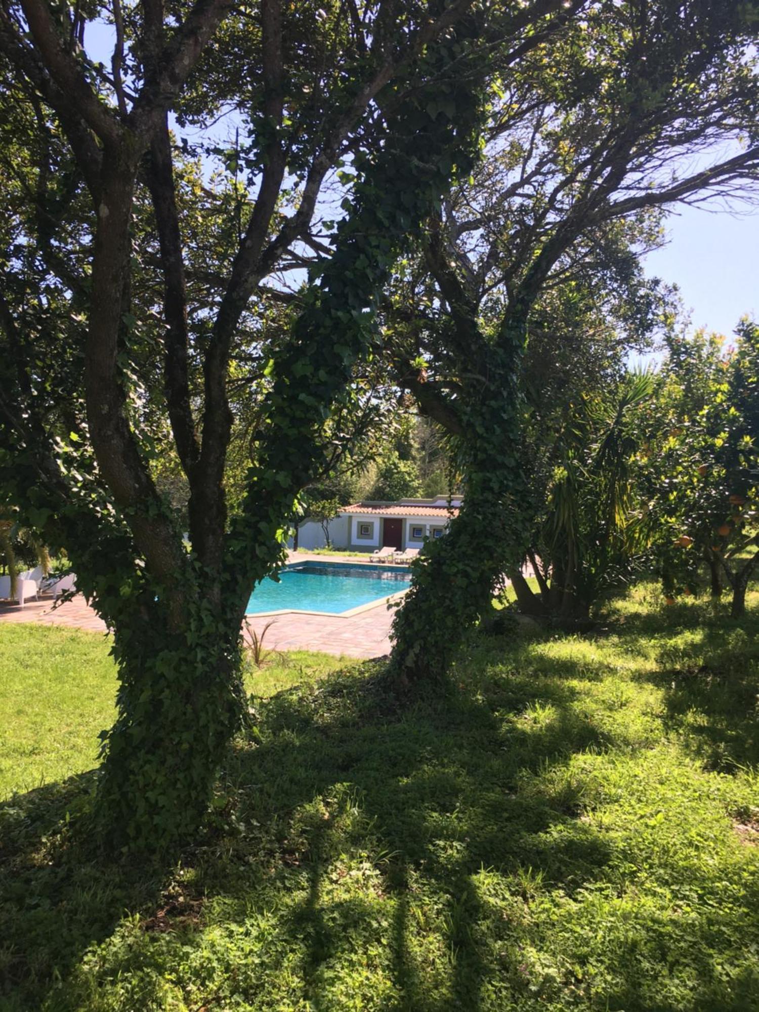 Отель Quinta De Mocamedes - Turismo De Habitacao Возела Экстерьер фото